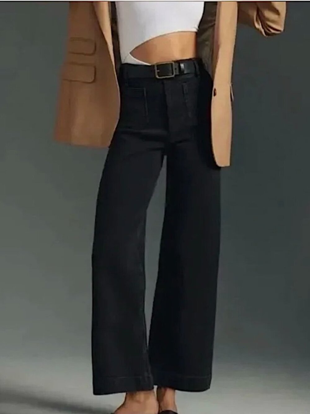 ANTHROPOLOGIE X PILCRO The Skipper Wide Leg Cropped Jeans Black Denim Size 28P